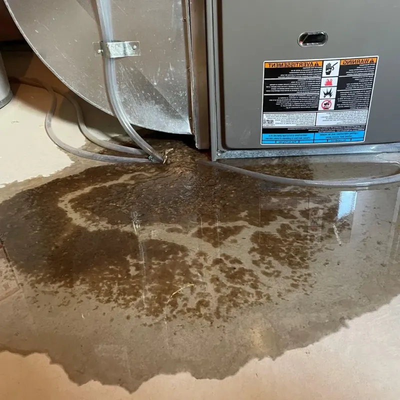Pipe Burst and Leak Restoration in Sleepy Hollow, CA