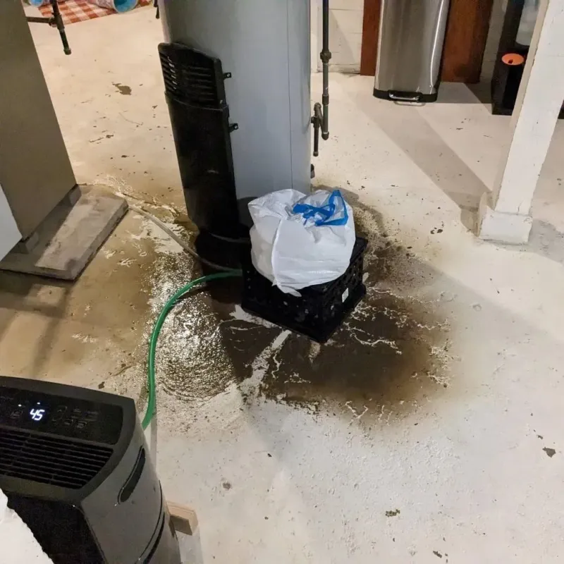 Sewage Backup Cleanup Service in Sleepy Hollow, CA